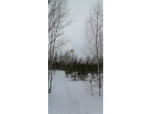 IMG 20210314 120112.jpg