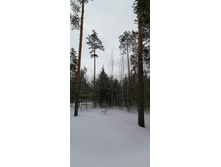 IMG 20210314 112403.jpg