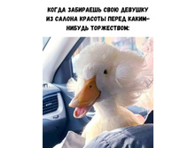 IMG 20210309 145033.jpg