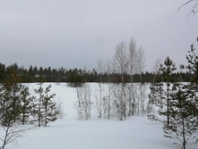 IMG 20210314 120040.jpg