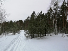 IMG 20210314 110731.jpg