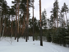 IMG 20210314 113030.jpg