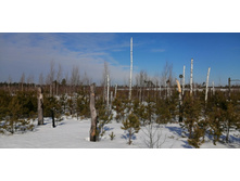 IMG 20210321 101254.jpg