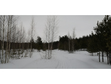 IMG 20210314 130054.jpg