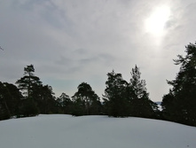 IMG 20210306 110852.jpg