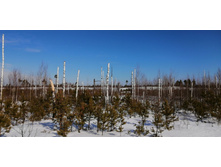 IMG 20210321 101246.jpg