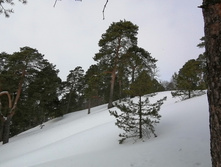 IMG 20210306 111453.jpg