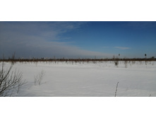 IMG 20210321 094559.jpg