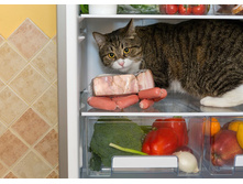 � ��� �ӣ ��� �� ���Σ�?