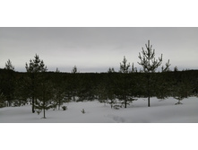 IMG 20210314 124628.jpg