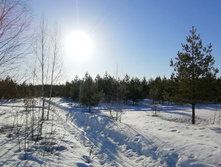 IMG 20210328 074938.jpg