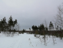 IMG 20210320 114258.jpg