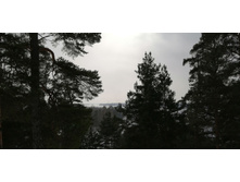 IMG 20210306 111434.jpg