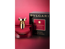 MAGNOLIA SENSUEL SPLENDIDA BVLGARI � � 100 �� 3200+%+����