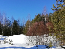 IMG 20210328 081202.jpg