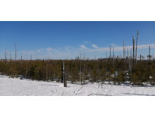 IMG 20210328 093323.jpg