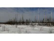 IMG 20210321 101018.jpg