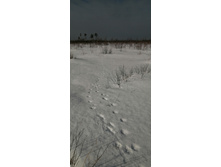 IMG 20210321 095932.jpg