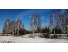 IMG 20210308 095255.jpg