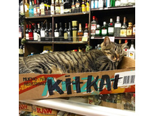 ����� ��������!