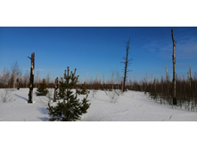 IMG 20210321 095431.jpg