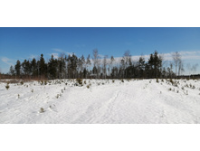 IMG 20210328 094128.jpg