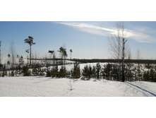 IMG 20210328 091142.jpg