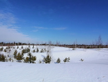 IMG 20210321 102158.jpg