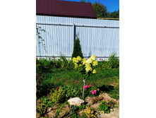 IMG 20200831 223247.jpg