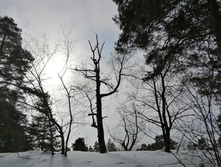 IMG 20210306 110244.jpg