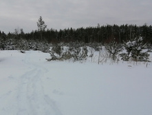 IMG 20210228 114914.jpg