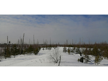 IMG 20210321 101654.jpg