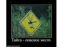 FB IMG 1615115488636.jpg