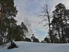 IMG 20210306 110236.jpg