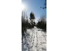 IMG 20210328 085748.jpg