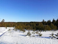 IMG 20210328 082133.jpg