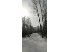 IMG 20210313 120518.jpg