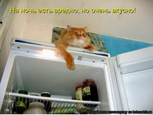 �� ���� ���� ������, �� ����� ������!