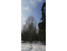 IMG 20210306 113904.jpg