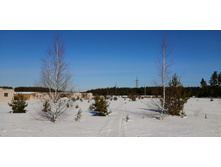 IMG 20210327 093143.jpg