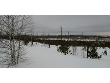 IMG 20210320 120153.jpg