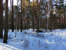 IMG 20210328 080039.jpg