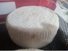 11 ���� ����������