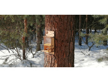 IMG 20210306 104128.jpg