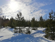 IMG 20210327 090200.jpg