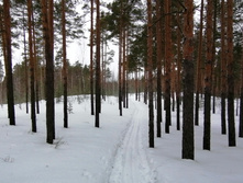 IMG 20210314 110534.jpg