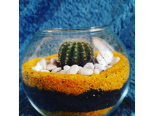 IMG 20210307 084442 307.jpg