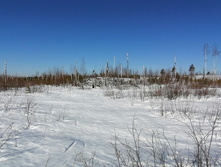 IMG 20210328 092239.jpg