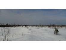 IMG 20210321 094728.jpg