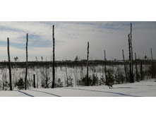 IMG 20210321 101649.jpg